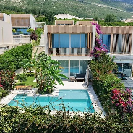 Jungle Modern With Pool In Coast فيلة بالاسي