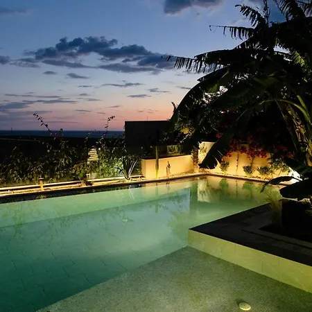 Villa Jungle Modern With Pool In Coast