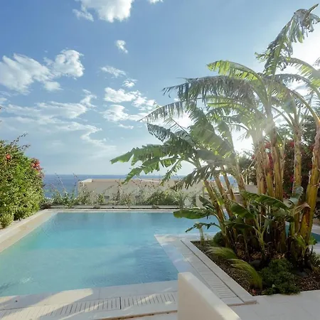Jungle Modern With Pool In Coast Palasë