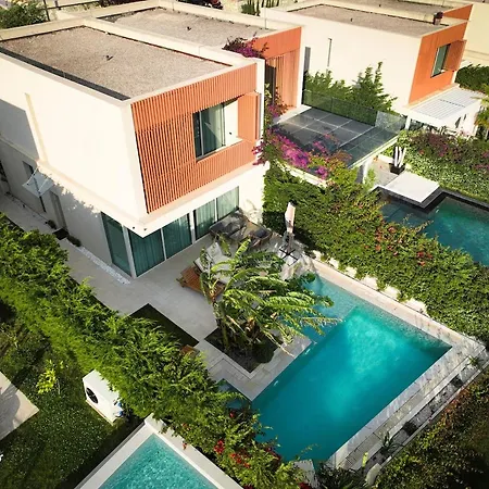 Jungle Modern With Pool In Coast Villa Palasë