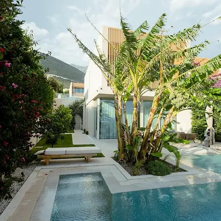 Jungle Modern With Pool In Coast فيلة بالاسي