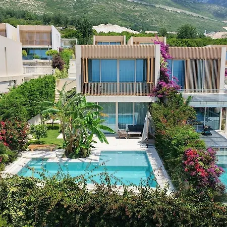 Villa Jungle Modern With Pool In Coast *