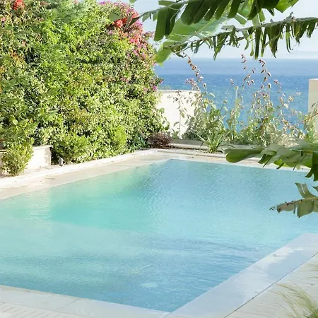 Villa Jungle Modern With Pool In Coast Palasë