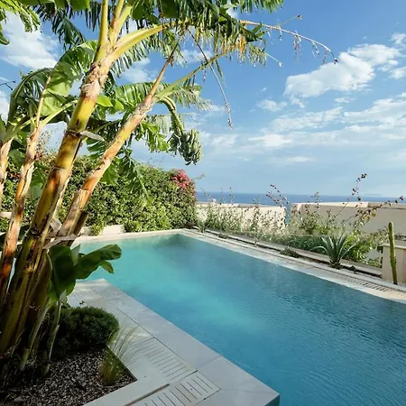 Villa Jungle Modern With Pool In Coast