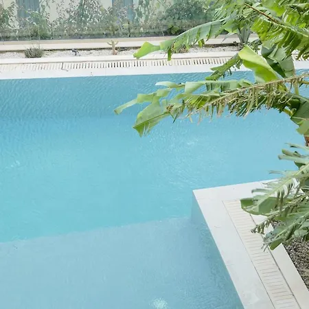 Villa Jungle Modern With Pool In Coast Palasë