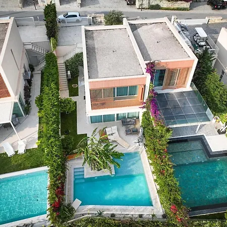 Jungle Modern With Pool In Coast *