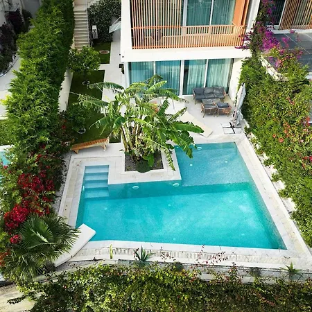 Jungle Modern With Pool In Coast بالاسي