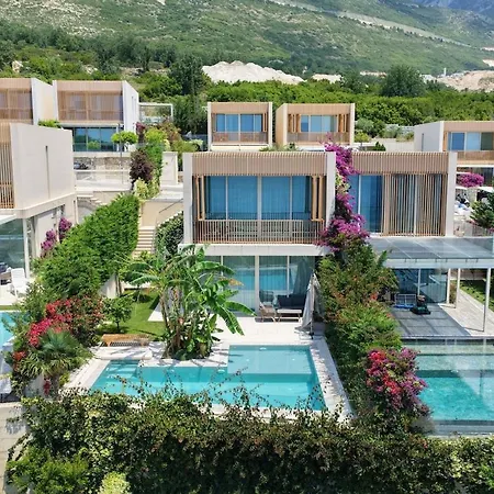 Jungle Modern With Pool In Coast بالاسي