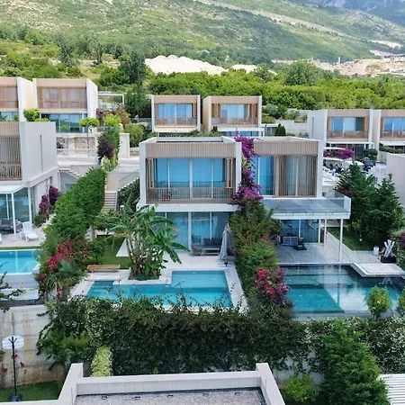 Jungle Modern With Pool In Coast فيلة *
