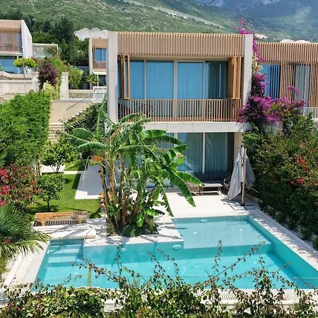 Jungle Modern With Pool In Coast فيلة