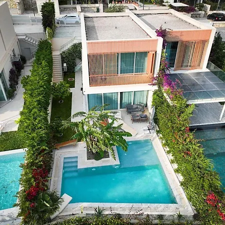 فيلة Jungle Modern With Pool In Coast بالاسي