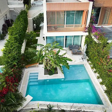 Jungle Modern With Pool In Coast Villa *