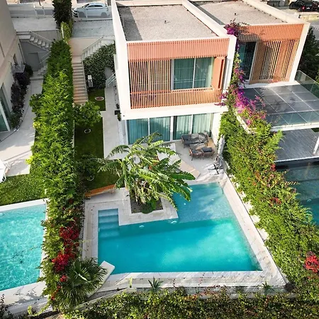 Jungle Modern With Pool In Coast Palasë